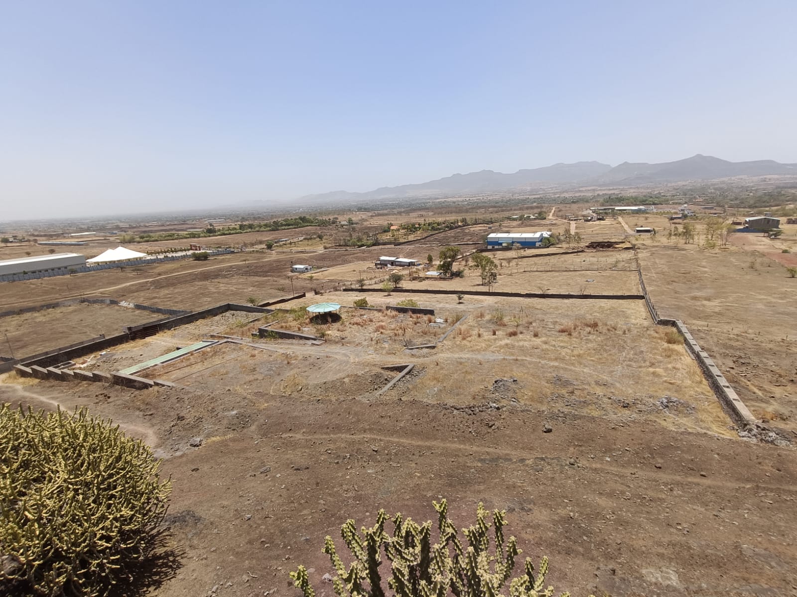 Majestic Royal Farm - MRF